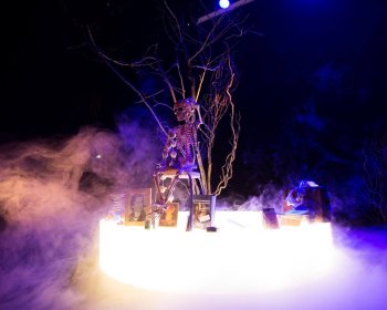 image Dijon 9