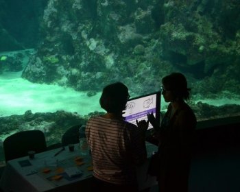 image Nuit Europ&eacute;enne des Chercheur.e.s Brest